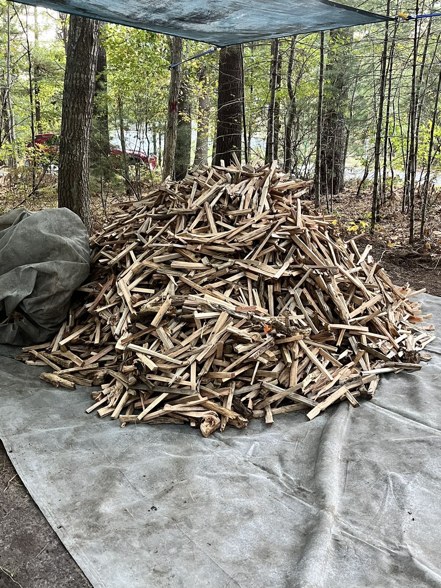 Premium Kiln Wood For Sale