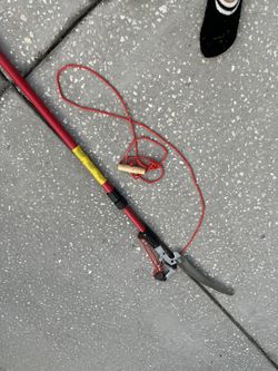 Saw   Clippers Ie: Palm Trees 