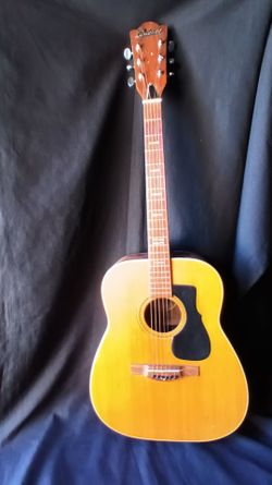 Read description guitar read description