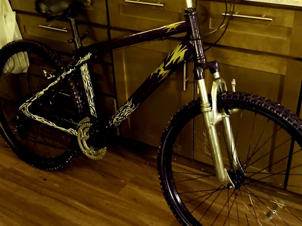 Ruckus GT Mountain Bike