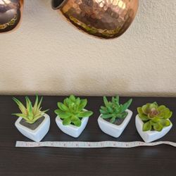 Artificial Succulents