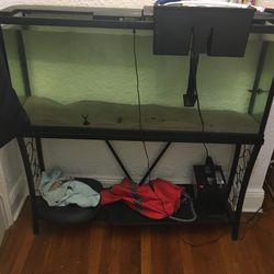 55 gallons Full Set Up $200