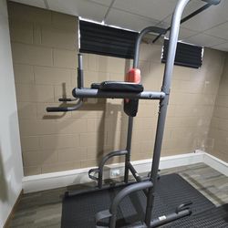 Weider Power Tower