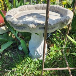 cement bird bath