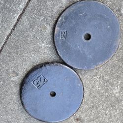 Slightly Rusty 25lb pancake style Standard 1inch Weight Plates 