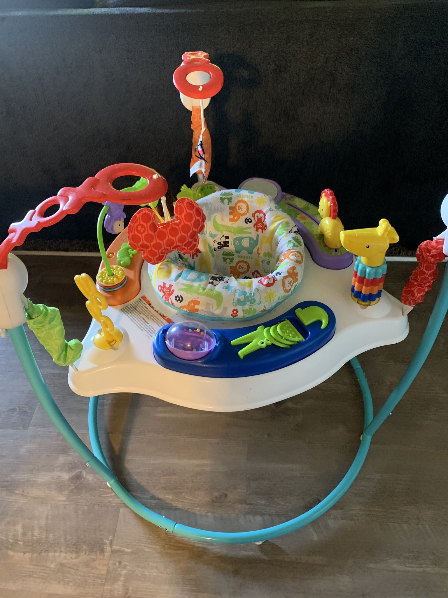Animal Activity Jumper