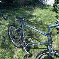 GIANT IGUANA cycles BIKE 26” wheel bicycle tall 22” frame