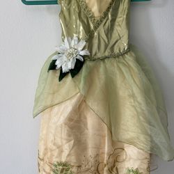 Genuine Disney princess Dress for kids Size 4 years