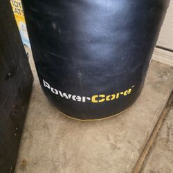 Everlast Punching Bag & Extras