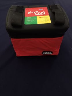 6 Pack Can Igloo Cooler