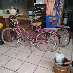 Vintage Sears Roebuck And Co Free Spirit Coaster Bicycles-His &Hers