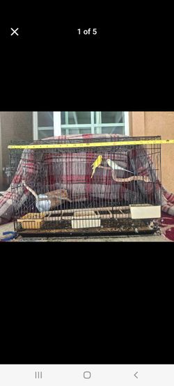 Bird cage