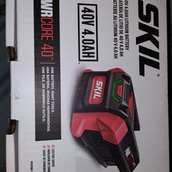 Skil battery