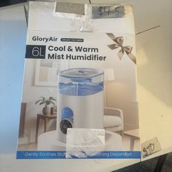 Glory Air Cool, And Warm Mist Humidifier
