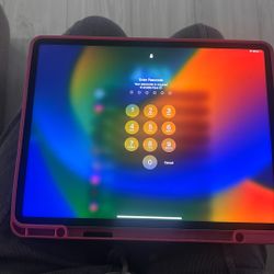 iPad PRO 13inch (dual Camera ) *2023