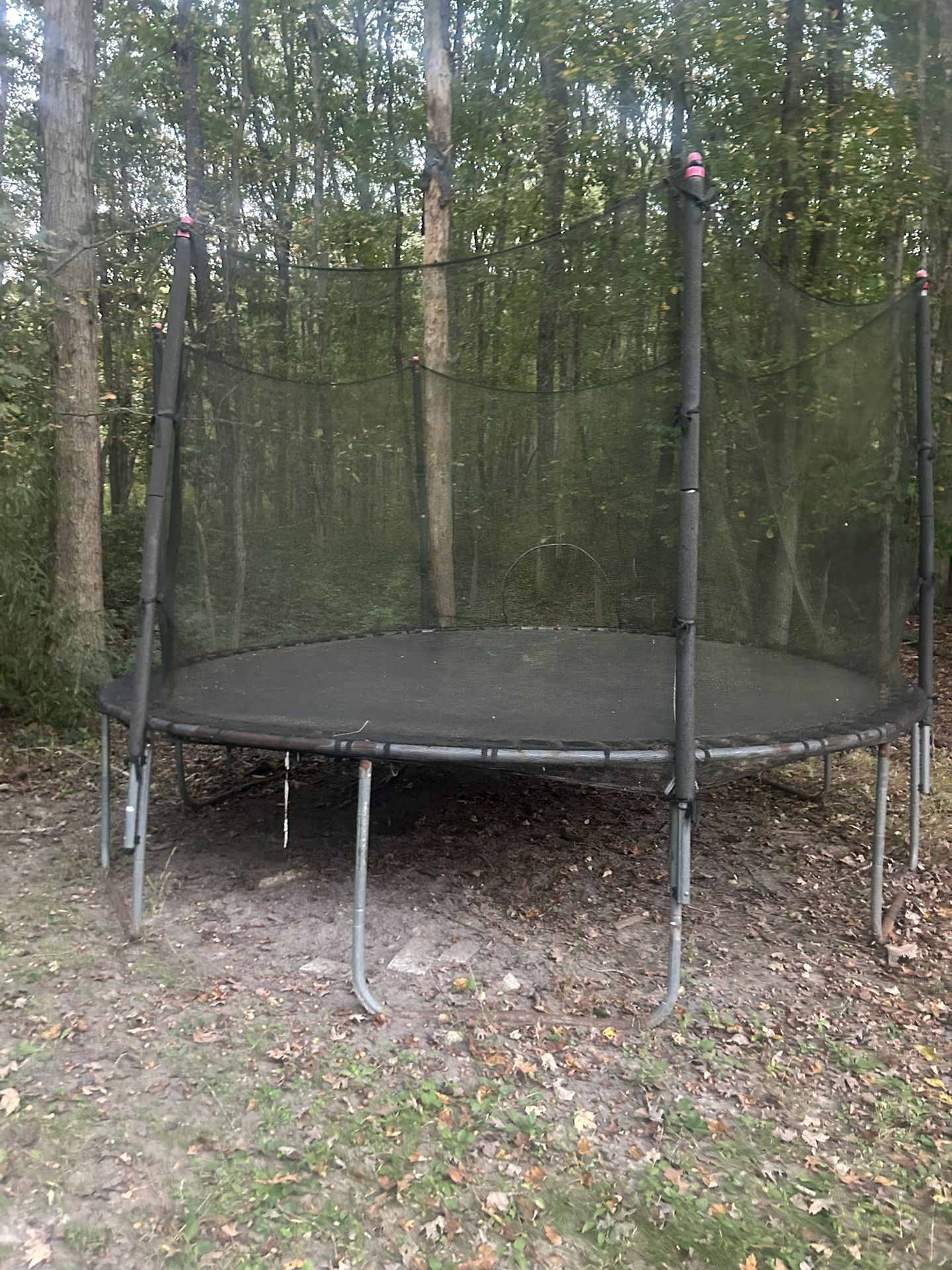 Trampoline