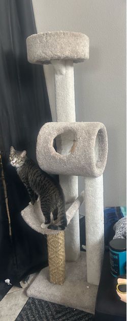 Cat Tower