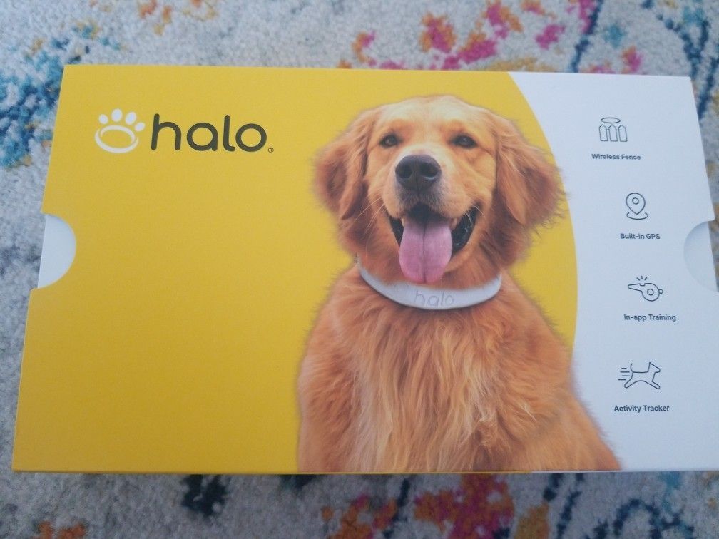 Halo Dog Collar 
