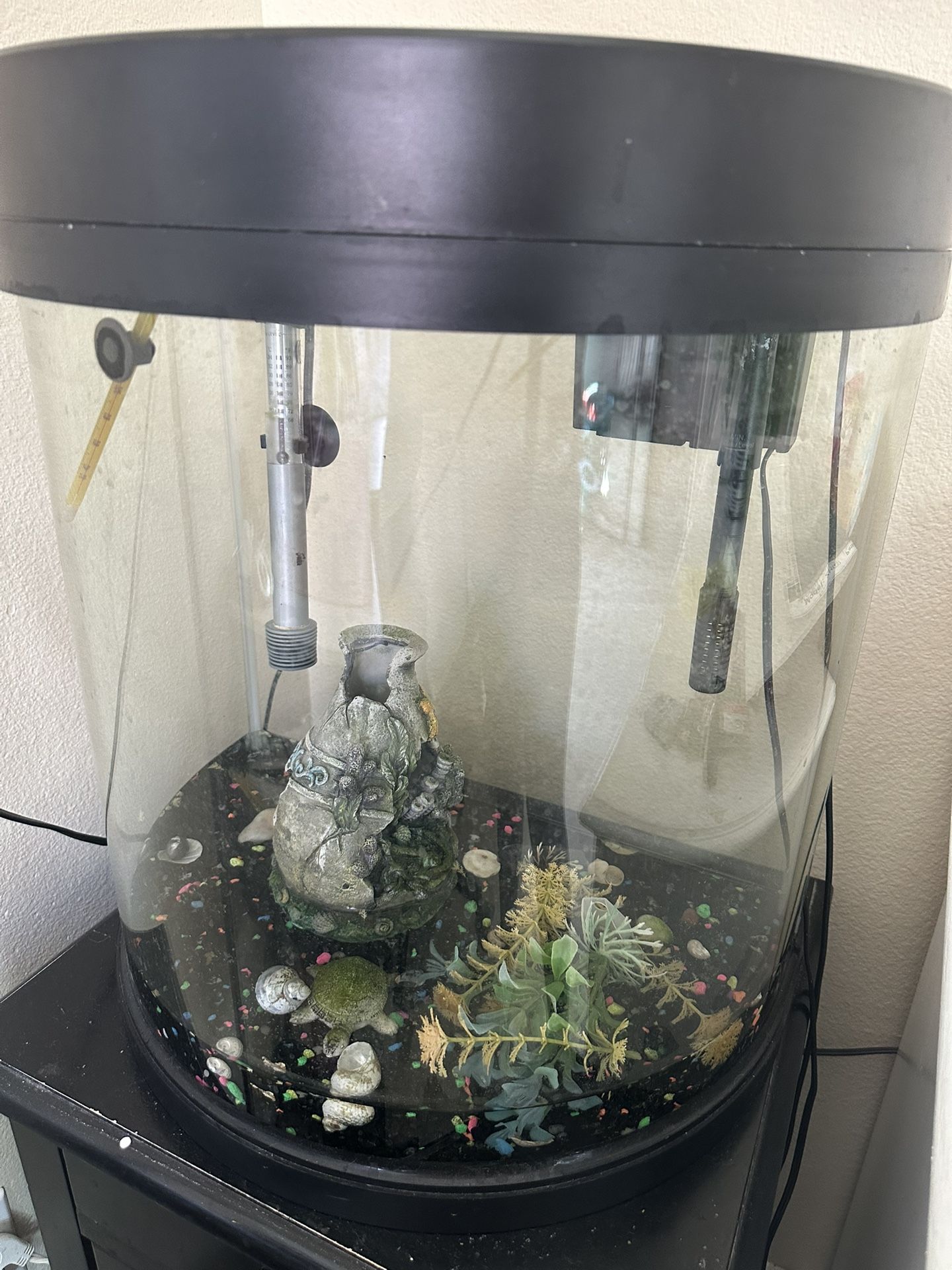 Fish Tank