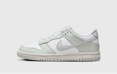 BRAND NEW NIKE DUNKS