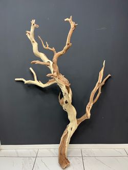 Sandblasted Manzanita: Reptiles, Birds, Home decor, Aquarium Terrariums Etc.