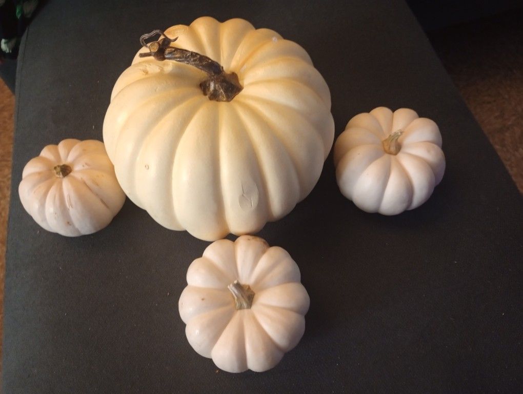Cream Color Harvest Theme Pumpkin Decor 