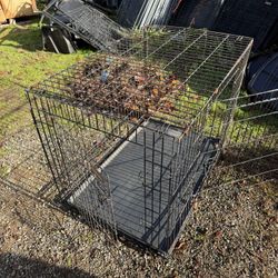 Dog Kennels