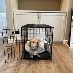 Medium Dog Crate – Great Condition 🐾
