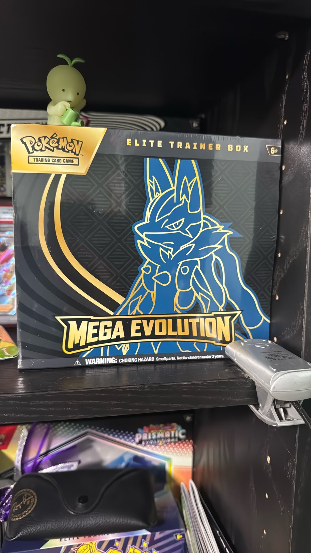 Mega Evolution