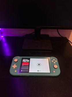 Nintendo switch lite
