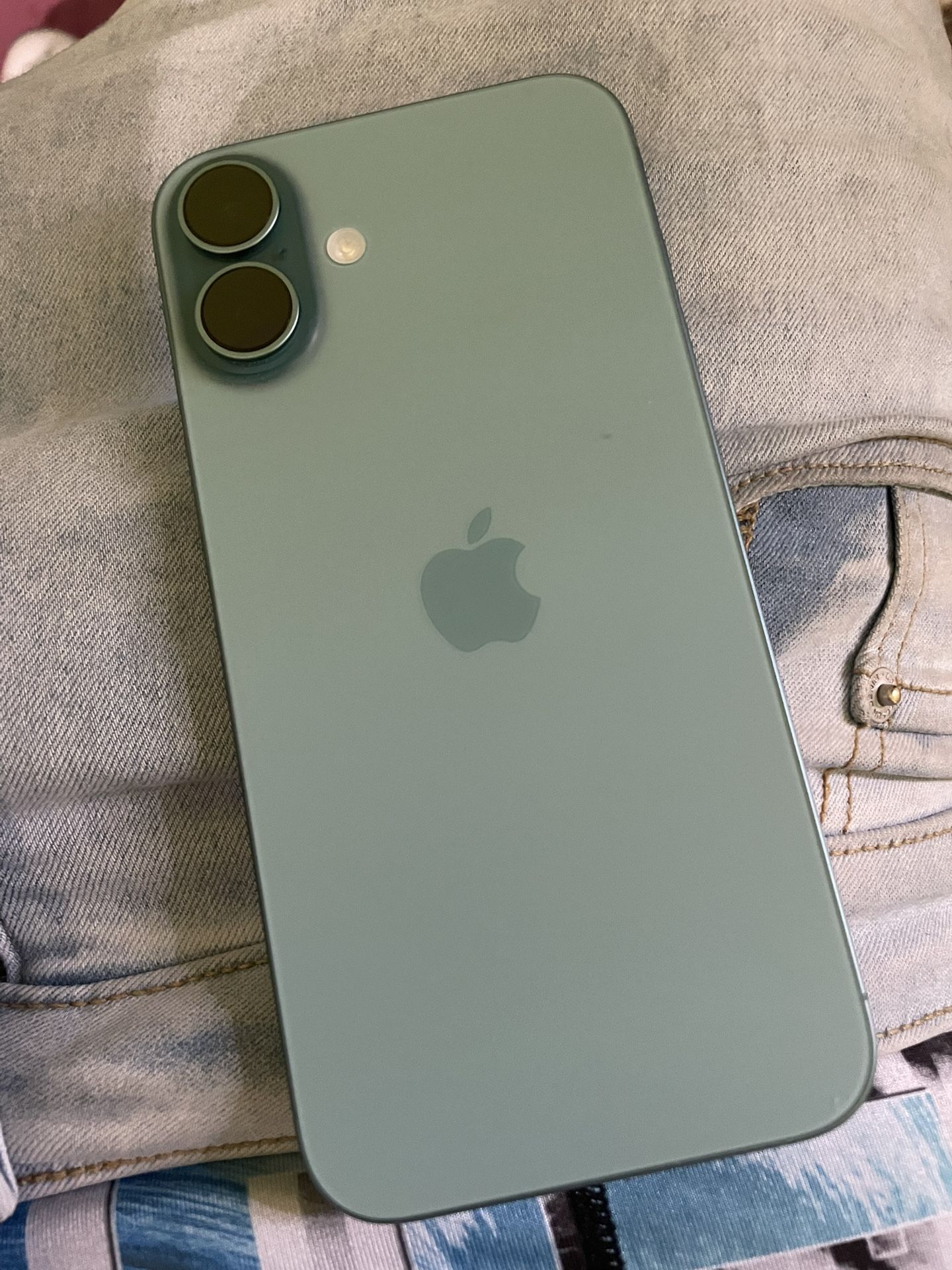 iPhone 16+