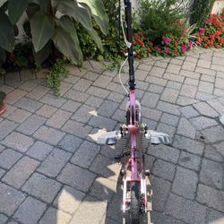 Stepwing Outdoor Elliptical Bike