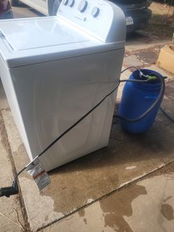 $160 Labadora
