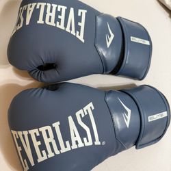 Everlast Boxing gloves