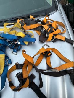 Safety harness