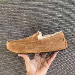 Ugg  Ascot Chestnut 