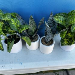 Brand New Fake Plants