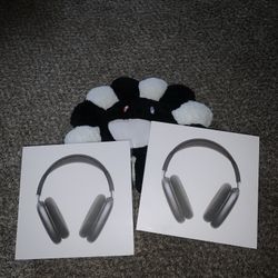 Air Pod Pro Max 