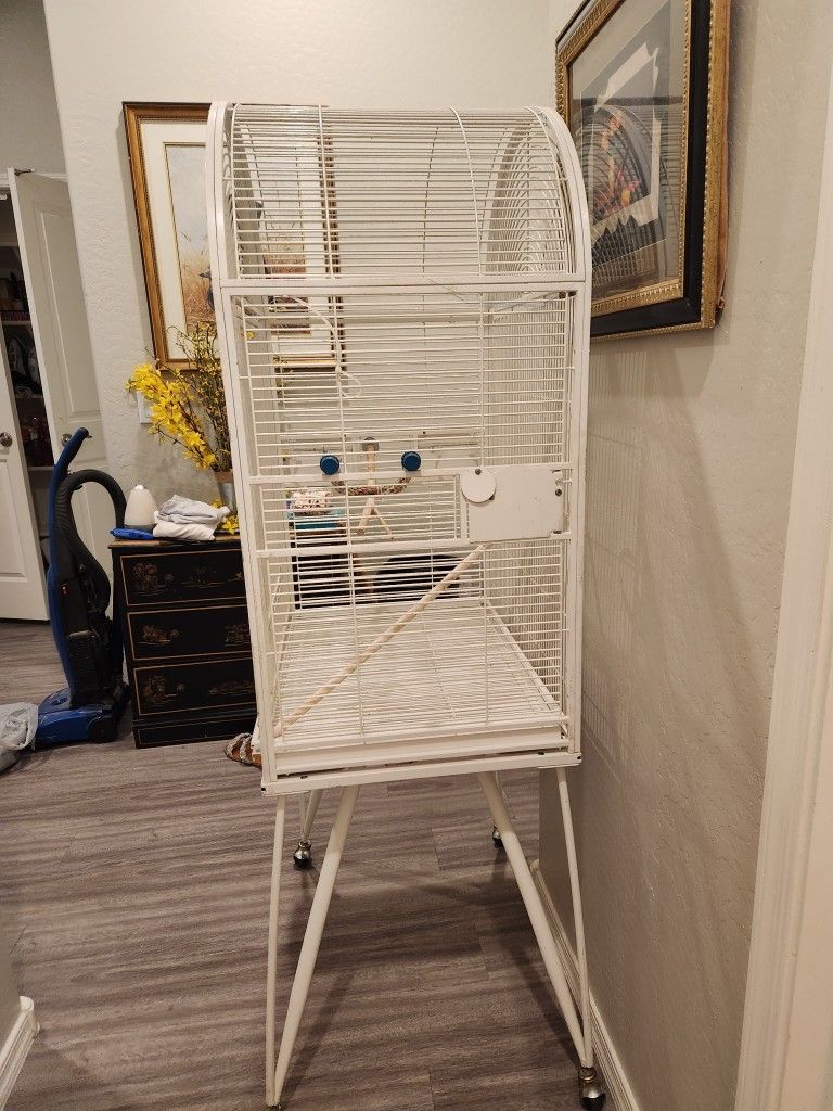 White Bird Cage