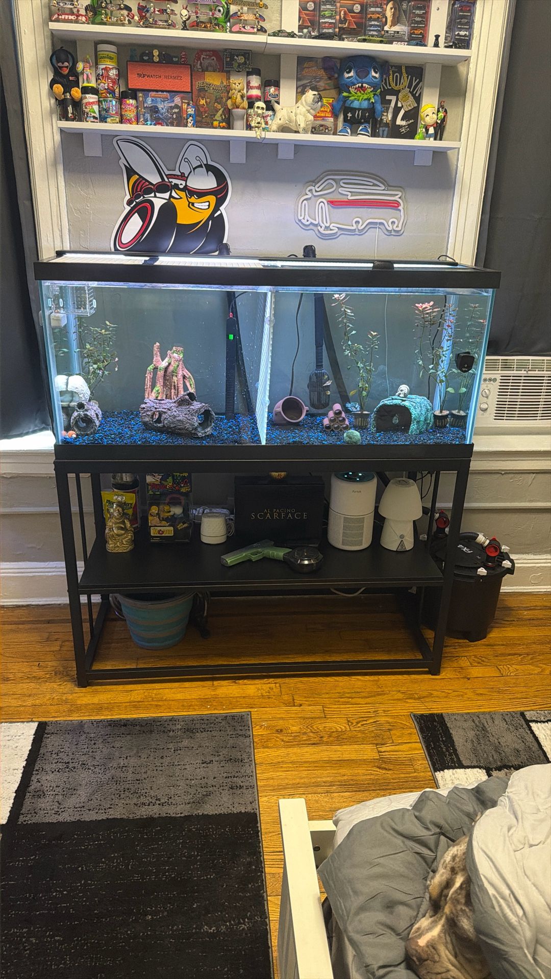 75 Gallon Tank Setup