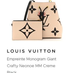 Louis Vuitton Bag.