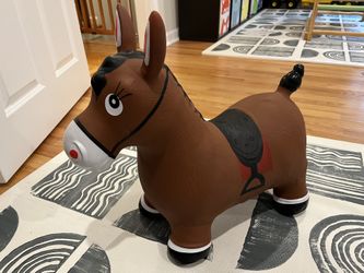 Bouncy Horse