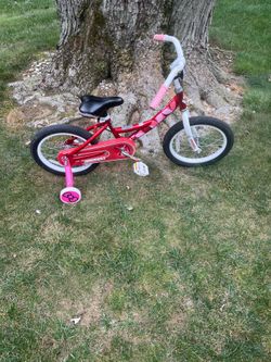 16” giant bike (training wheels included)