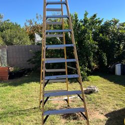 Dewalt 12 Foot Ladder 