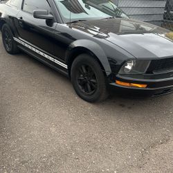 2005 Ford Mustang looking for a new home