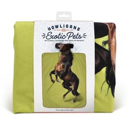 Howligans- Exotic Pet - Horse 💚