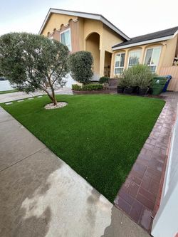 Synthetic grass for your front yard best quality