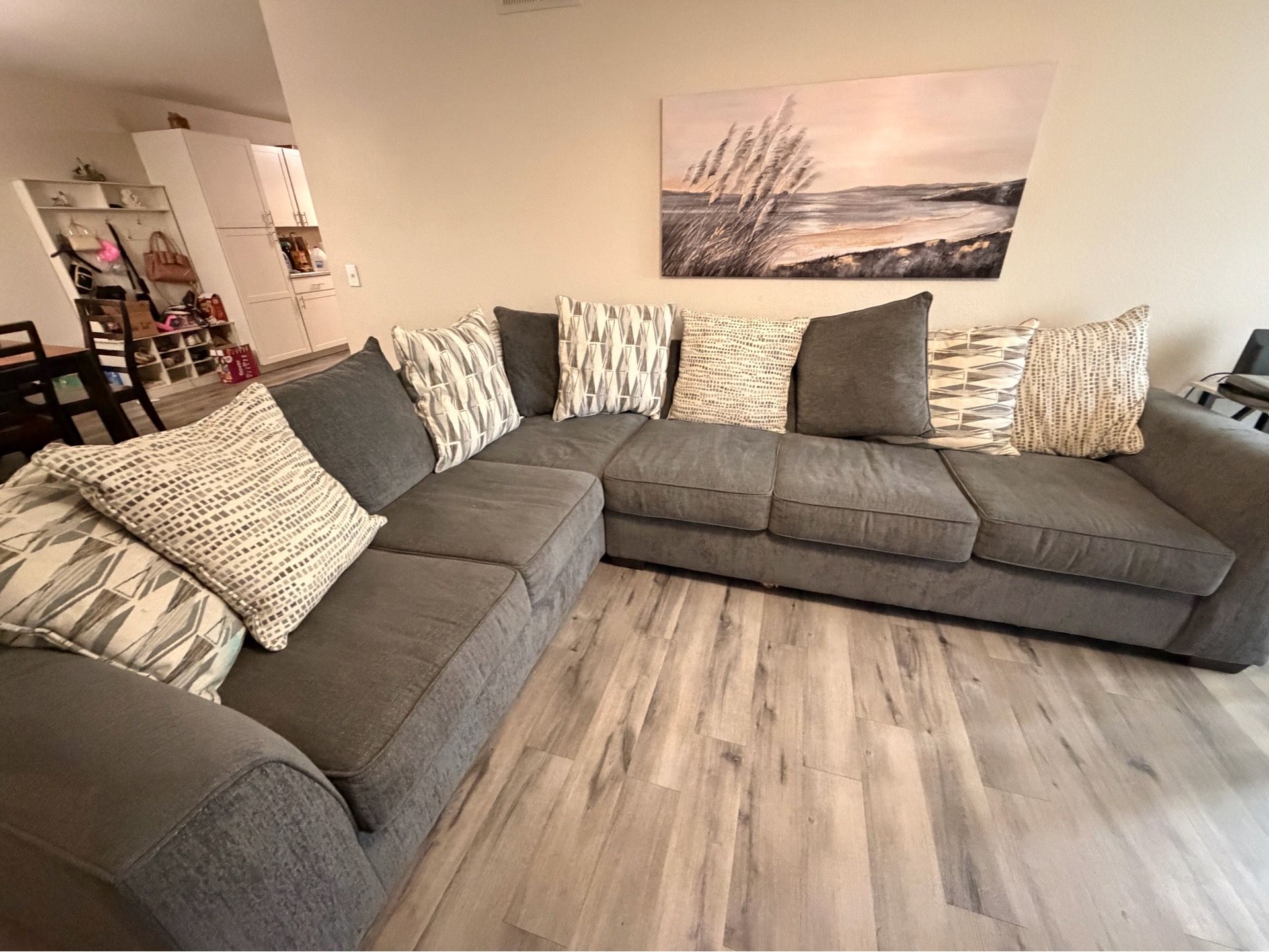 Gently used sectional