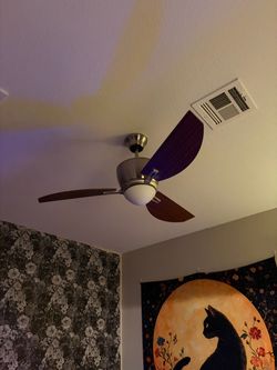 Ceiling Fan