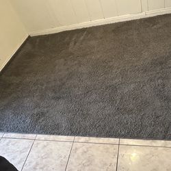 Large Rug